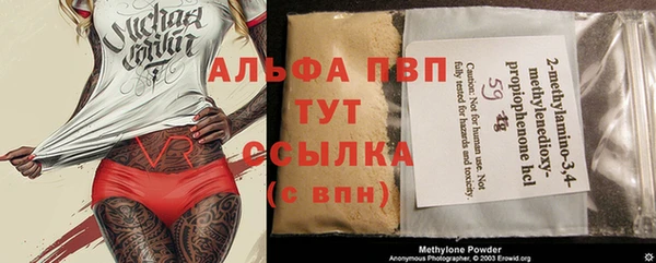 дурь Алексин