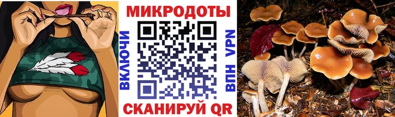 Галлюциногенные грибы MAGIC MUSHROOMS  omg зеркало  Почеп  купить  